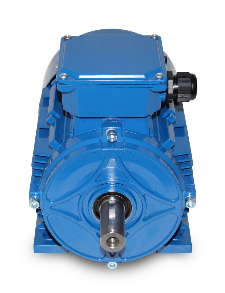 Electric motor - MX3 100L - 3 kW - 2pol-B3